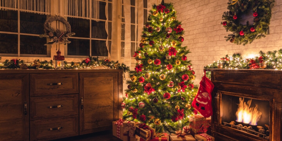 Aquí puedes rentar tu árbol de Navidad.