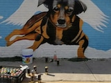 Un artista urbano diseñó un mural en homenaje al perrito Scooby.