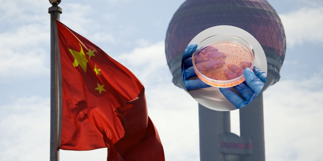 Este es el hongo considerado amenaza a la seguridad