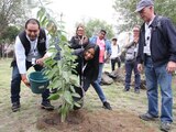 La Alcaldía Tlalpan recibe el distintivo Ciudad Árbol del Mundo por su compromiso con el cuidado del arbolado urbano.