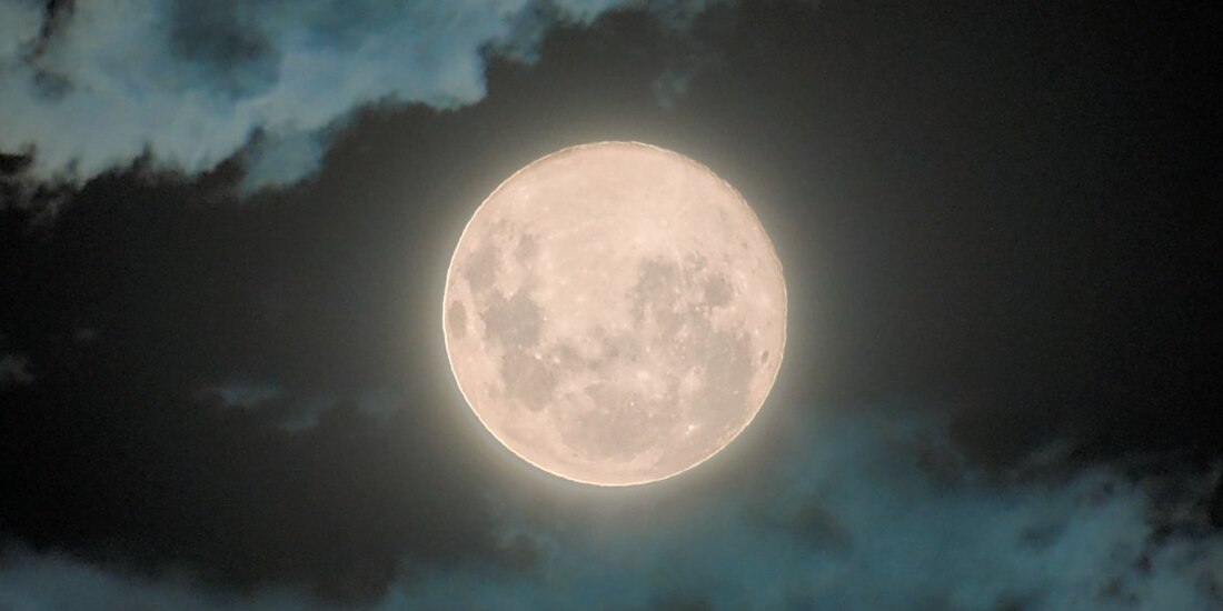 Llega la Luna llega de gusano este fin de semana