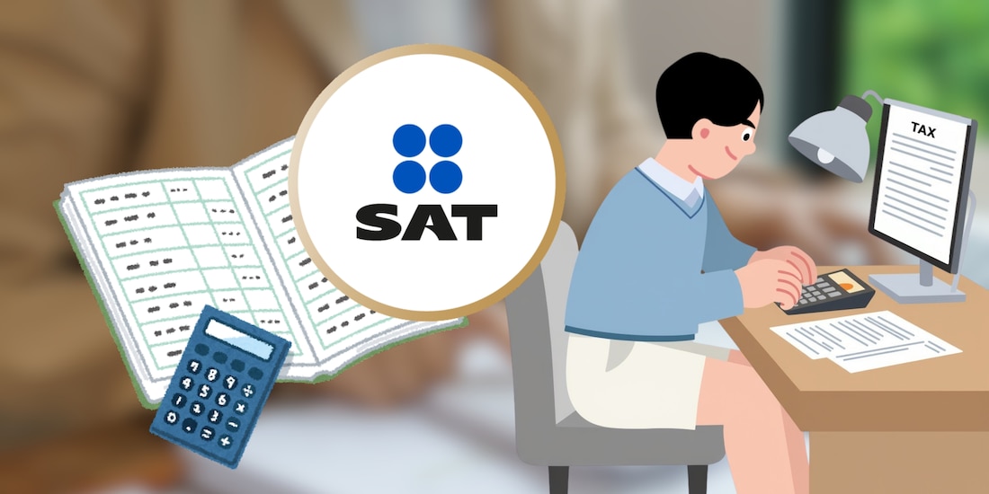 Declaración Anual 2025