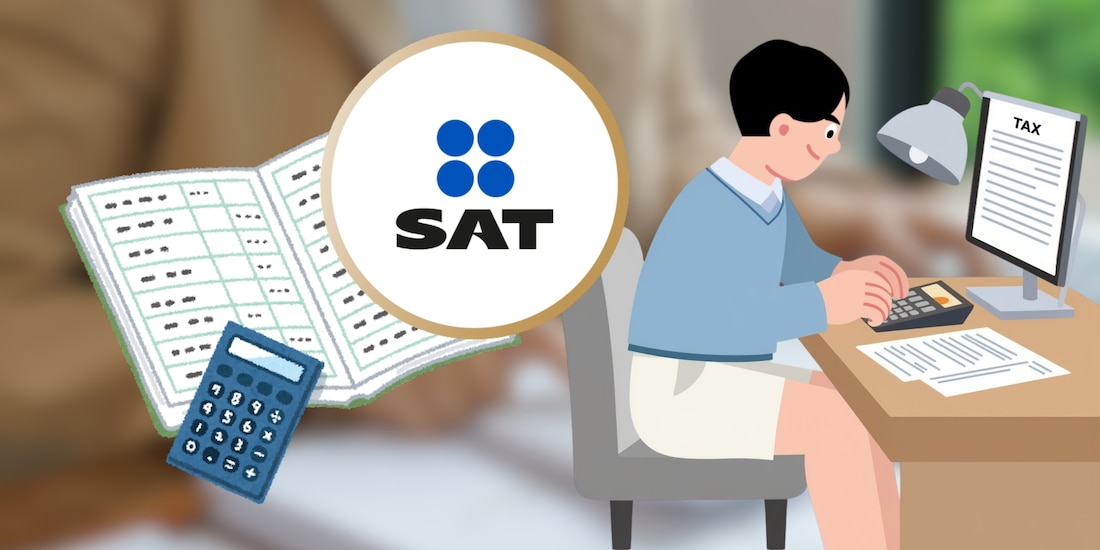 Declaración Anual 2025