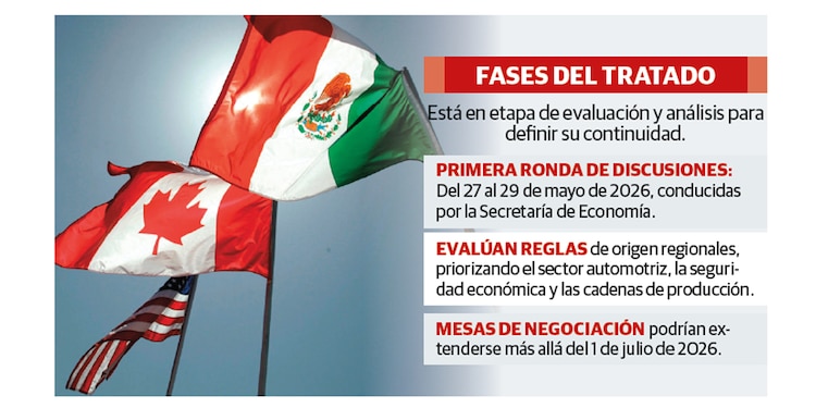 FASES DEL TRATADO