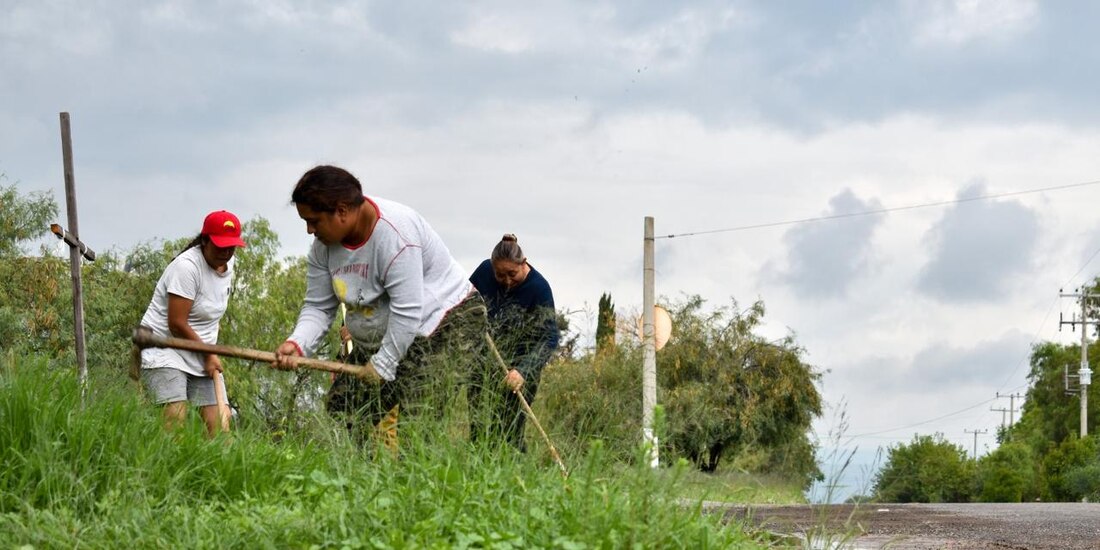 Campesinos trabajando en Aguascalientes.