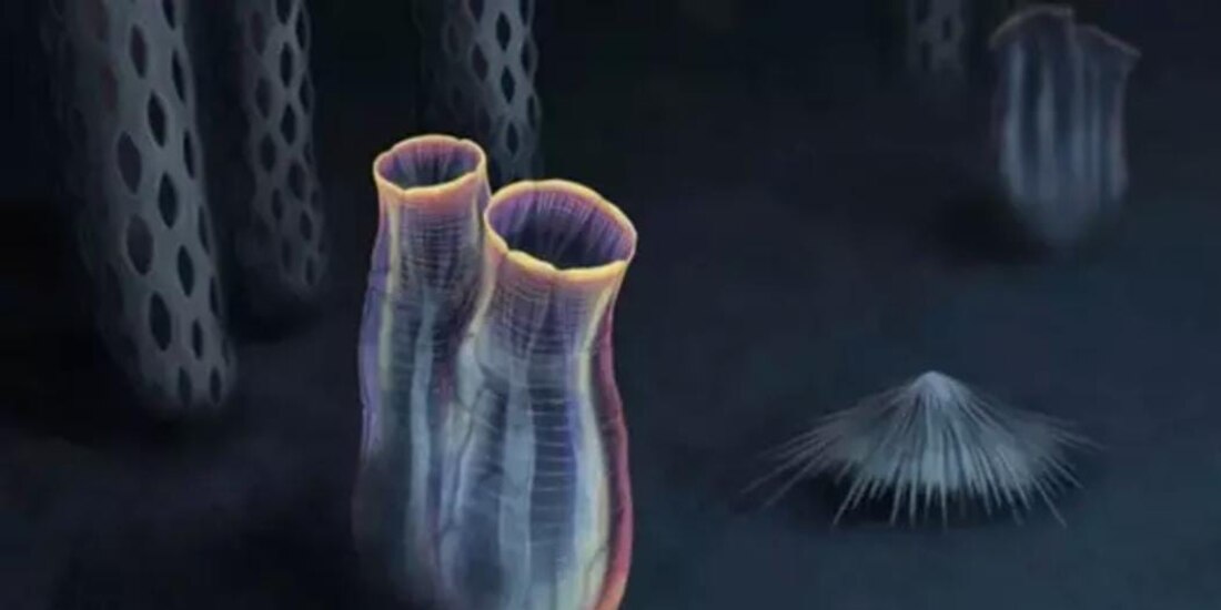 Reconstrucción artística de Megasiphon thylakos.