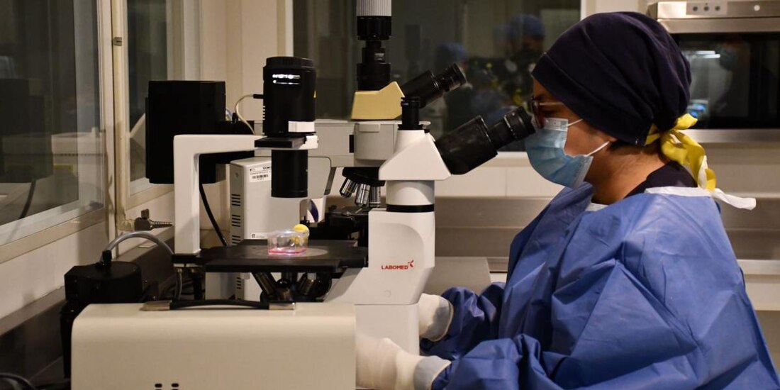 Casos por bacteria Klebsiella oxytoca en Edomex están bajo control: Secretaría de Salud estatal.