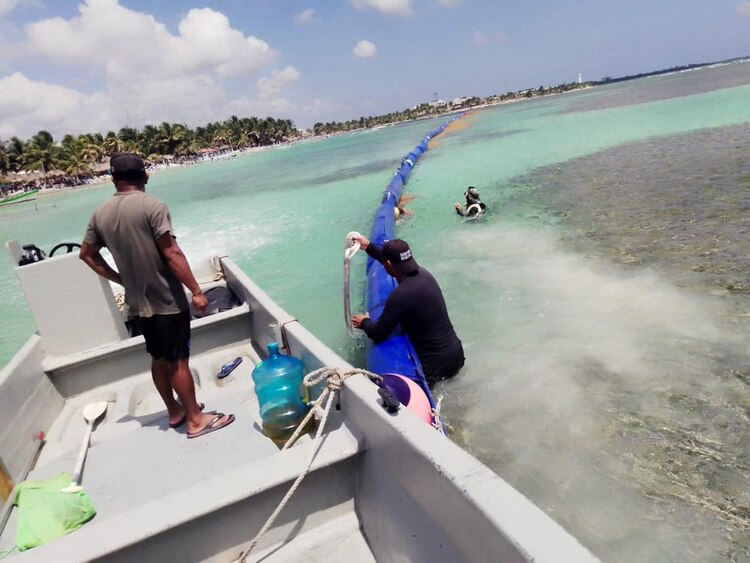 La Marina mantiene acciones para la contención del fenómeno atípico del sargazo en el estado de Quintana Roo