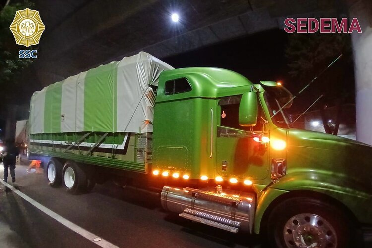 Los productos maderables eran transportados en un camión tipo torton.