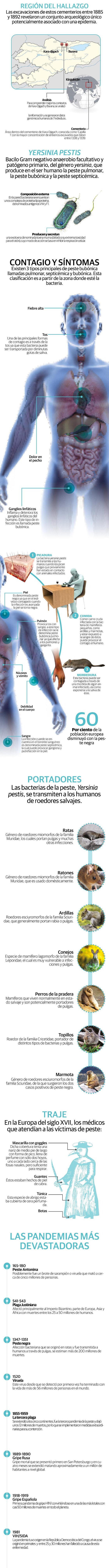 Análisis de dientes revela dónde se originó la peste negra, la más mortífera de la historia