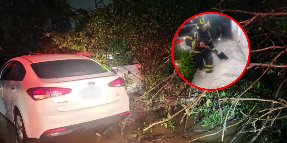 Lluvias intensas provocan deslave, caída de árbol y choques en Cuajimalpa.