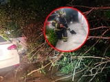 Lluvias intensas provocan deslave, caída de árbol y choques en Cuajimalpa.