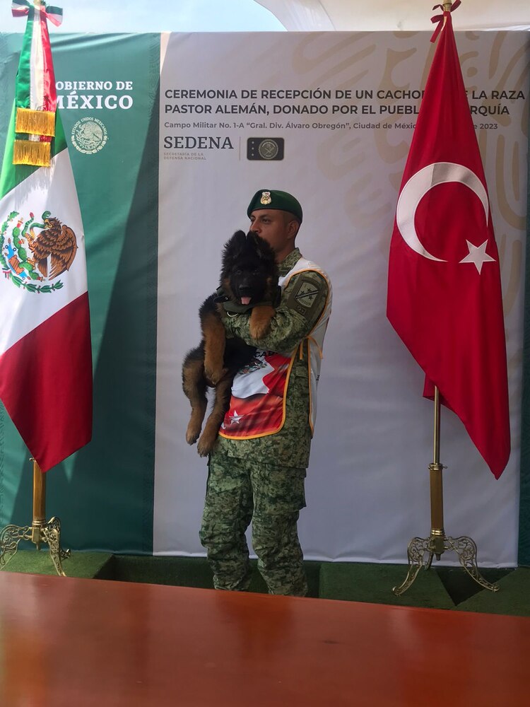 Arkadas, al momento de su entrega al Ejército Mexicano.
