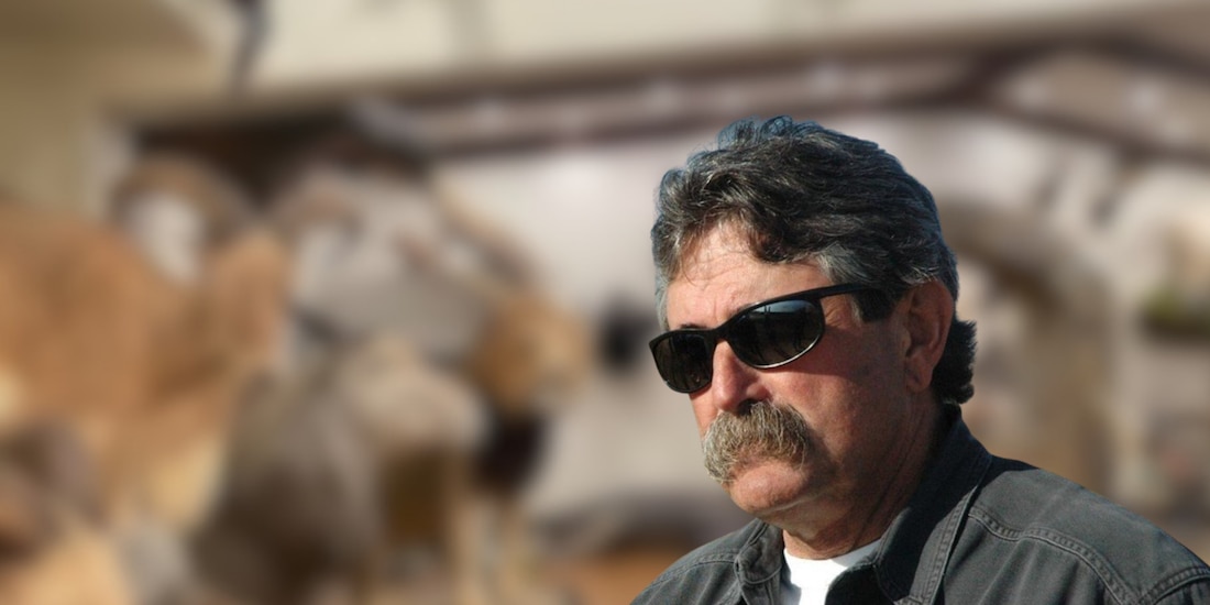 Muere el cazador Ernie Dosio aplastado por una elefante
