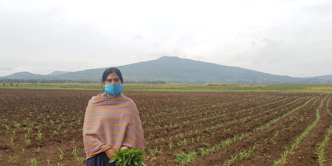 Productora michoacana muestra los frutos de su labor en cultivos orgánicos.