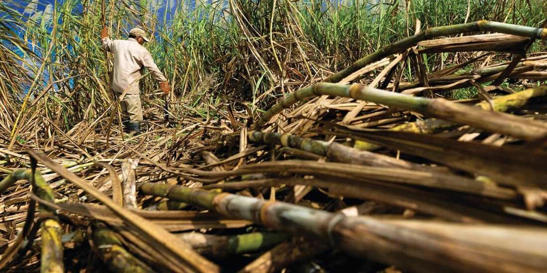 Acuerdan aumento salarial a azucareros.