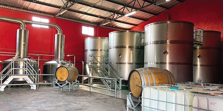 Aprenderás el proceso de creación del tequila.