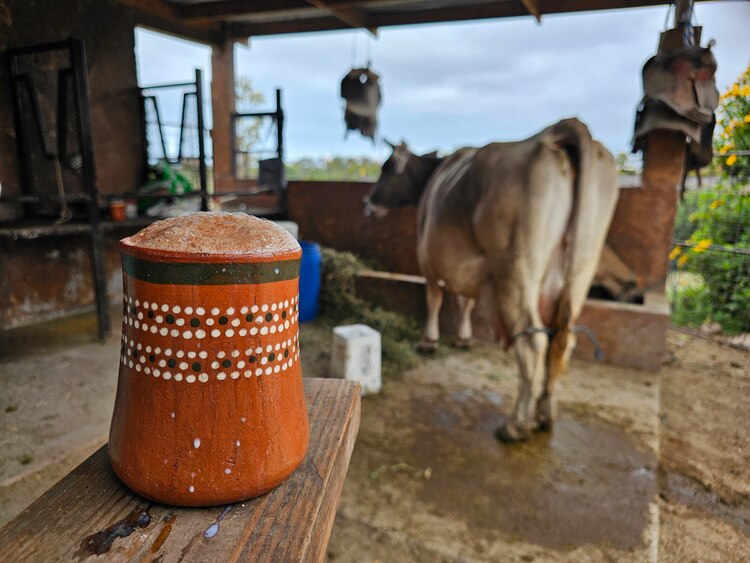 Sabores de Rosarito, un deleite para los sentidos