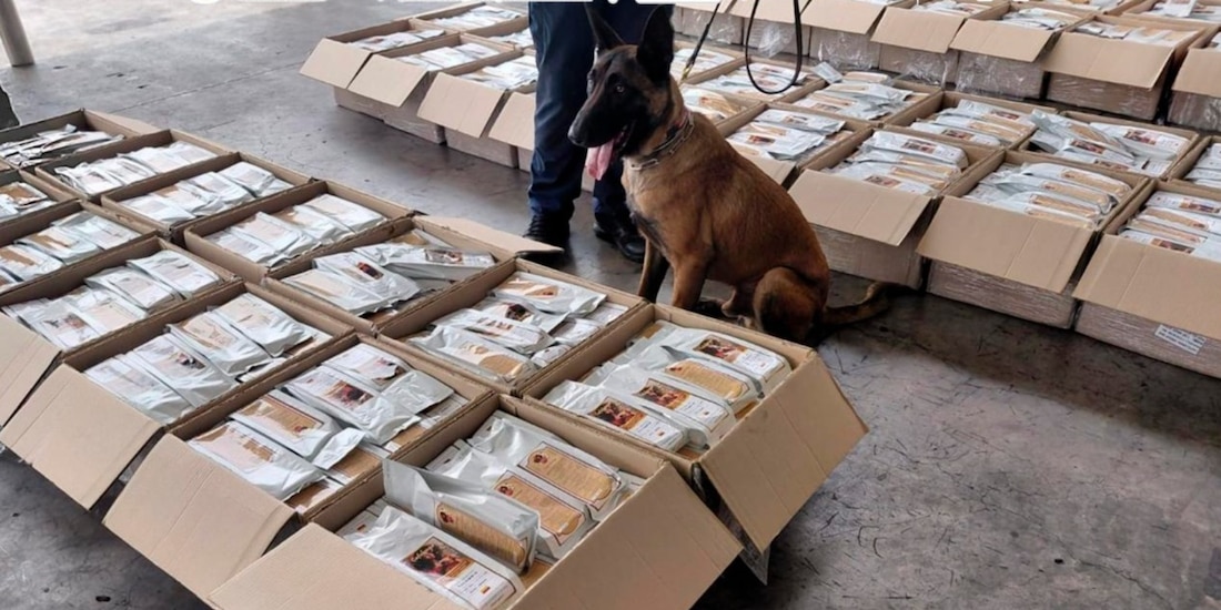 Aseguramiento de café "contaminado" con cocaína, en el AICM.