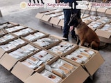 Aseguramiento de café "contaminado" con cocaína, en el AICM.