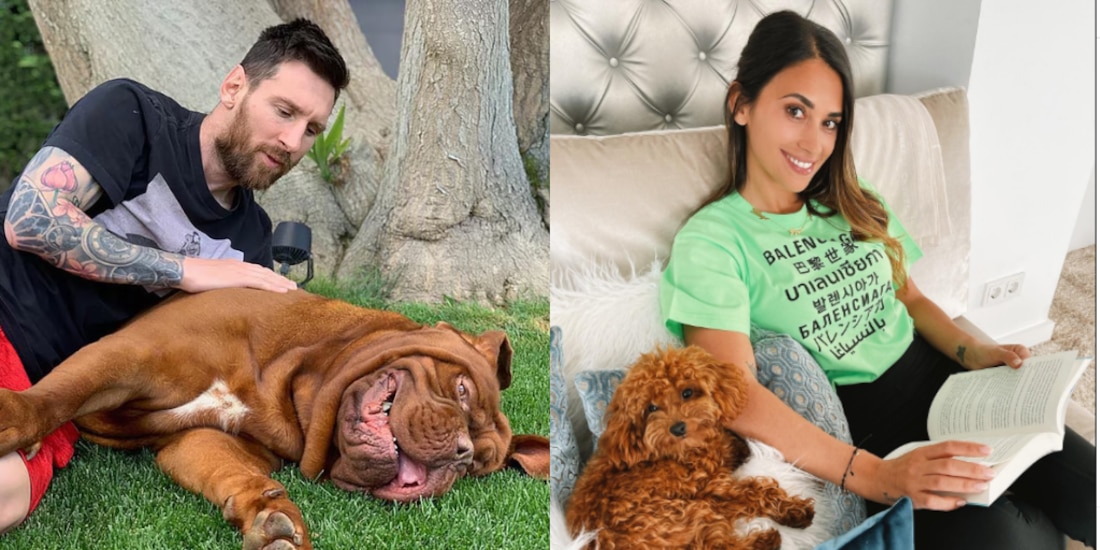 Leo Messi ha presumido a sus perritos en redes sociales.