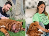 Leo Messi ha presumido a sus perritos en redes sociales.