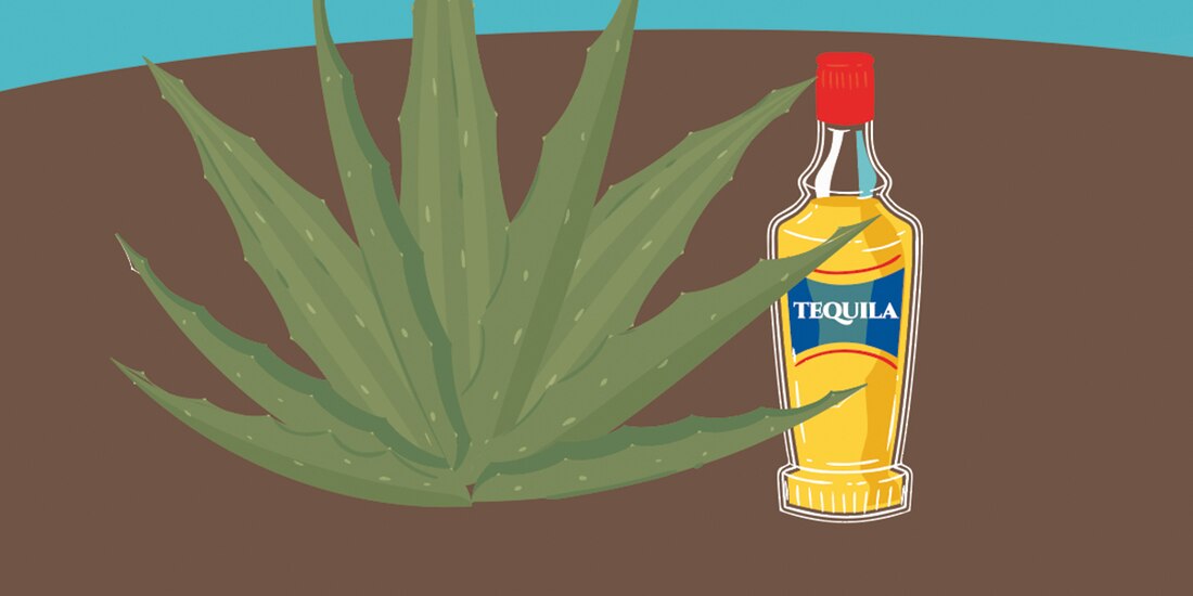 Apertura de nuevos mercados, el reto de la industria tequilera