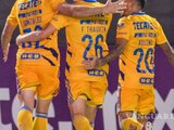Tigres cuenta con una basta afición.