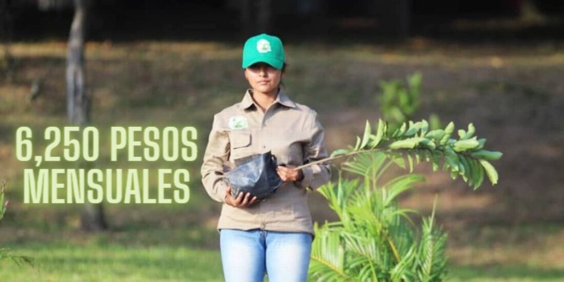 Este apoyo económico se da al mes.