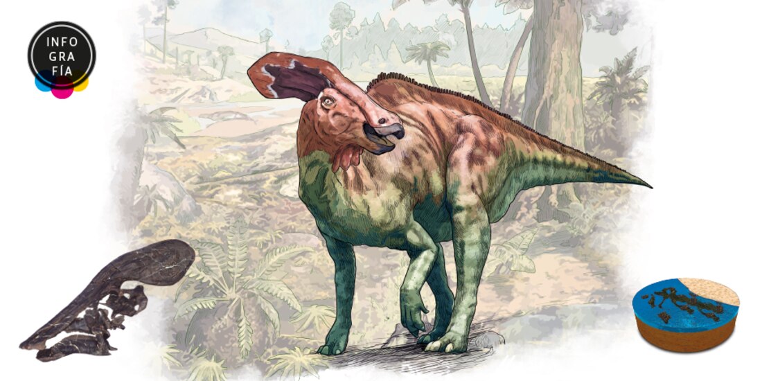 De gran cresta y hervíboro, la nueva especie de dinosaurio hallado en México