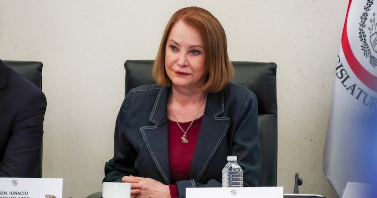 Laura Itzel Castillo Juárez.