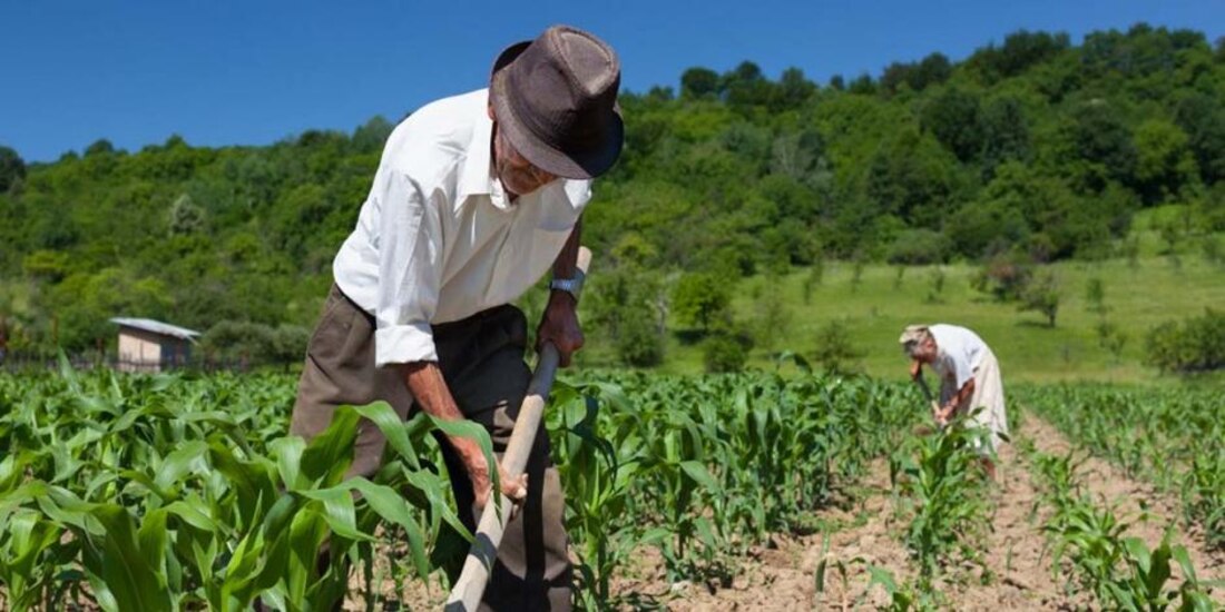 Censo agropecuario, vital para definición de políticas públicas: Villalobos Arámbula.