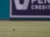 Una rata corre en el campo del Nationals Park durante el partido de MLB entre Nationals y Mets.