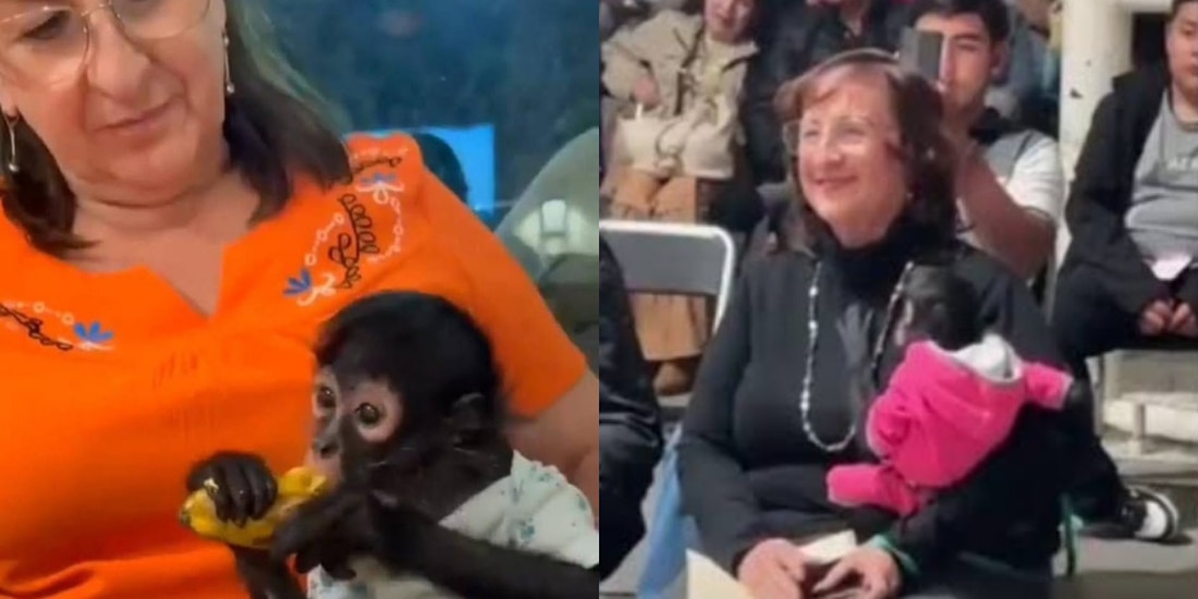 Regidota del ayuntamiento de Ocotlán, renuncia al cargo