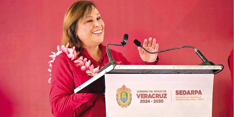 27 de octubre │ “Veracruz no es carne para la carroña” Durante una conferencia de prensa para defenderse de las críticas y de la solicitud de revocación de mandato impulsada por opositores, tras las graves inundaciones en el norte del estado, Nahle García se lanza en contra de políticos y periodistas.