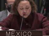 durante su intervención en la reunión del Consejo de Seguridad de la ONU