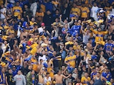 Aficionados de los Tigres, en un partido de Liga MX