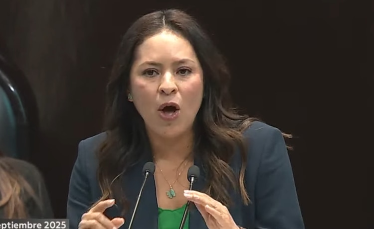 Karen Castrejón, senadora del Partido Verde.