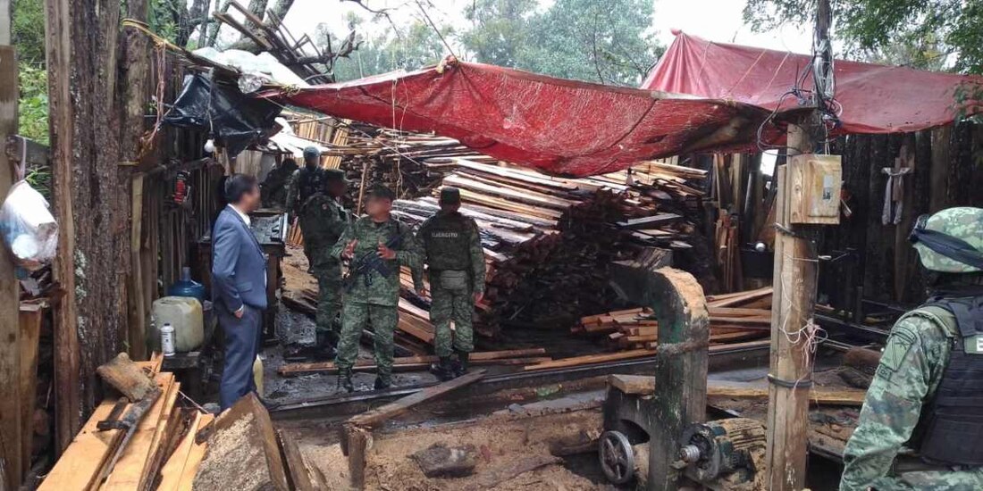 Aseguran 4 aserraderos y maquinaria en Huitzilac, Morelos.