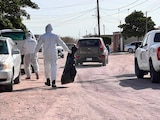 Envenenamiento de perros en Comondú, Baja California Sur.