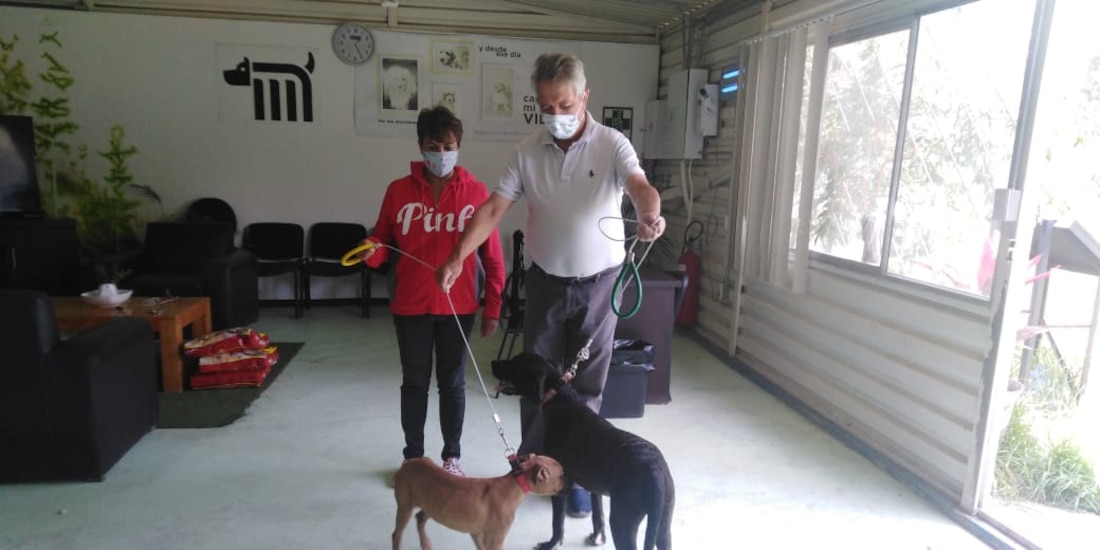 Familias adoptan a una mascota en el albergue del Sistema de Transporte Metro.