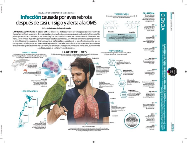 Infección causada por aves
