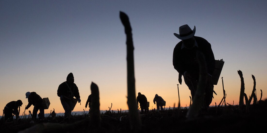 Contención de migrantes se dispara 89%, aquí, en 2022