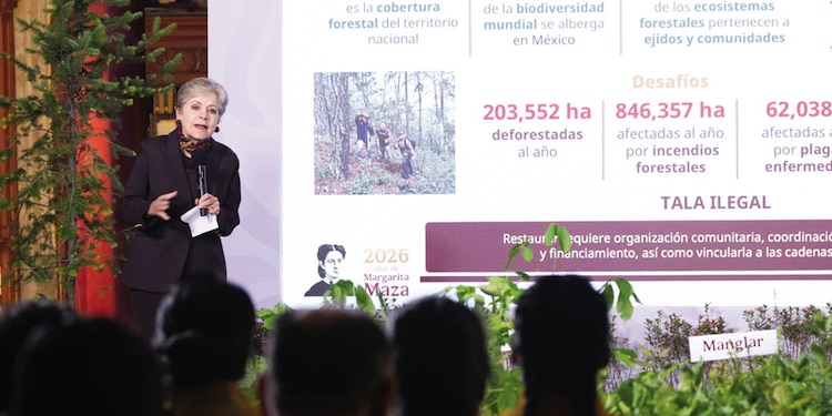 Alicia Bárcena, titular de la Semarnat, ayer, al explicar el proyecto ecológico.