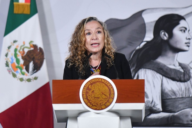 Ingrid Gómez Saracibar, subsecretaria del Derecho a una Vida Libre de Violencia