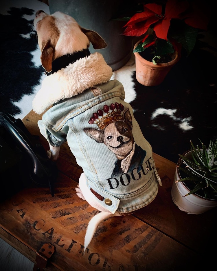 La marca también cuenta con chamarras para humanos, para quienes deseen llevar en la espalda el rostro de su mascota; Aydée las elabora en dos días.