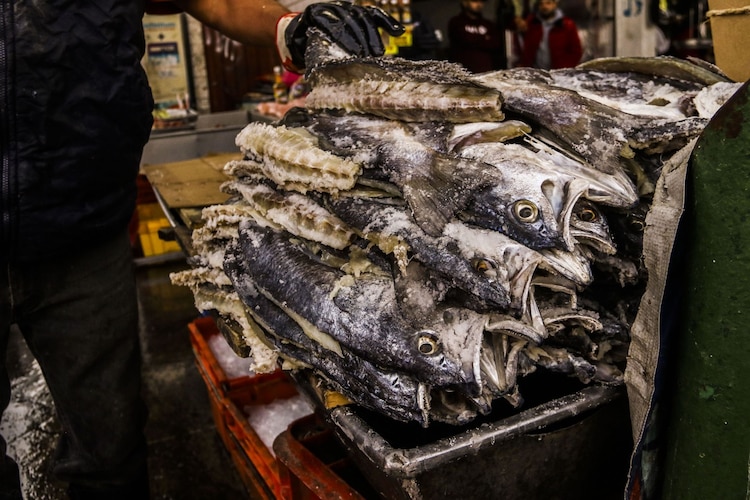 Venta de mariscos durante Semana Santa 2026 en CDMX