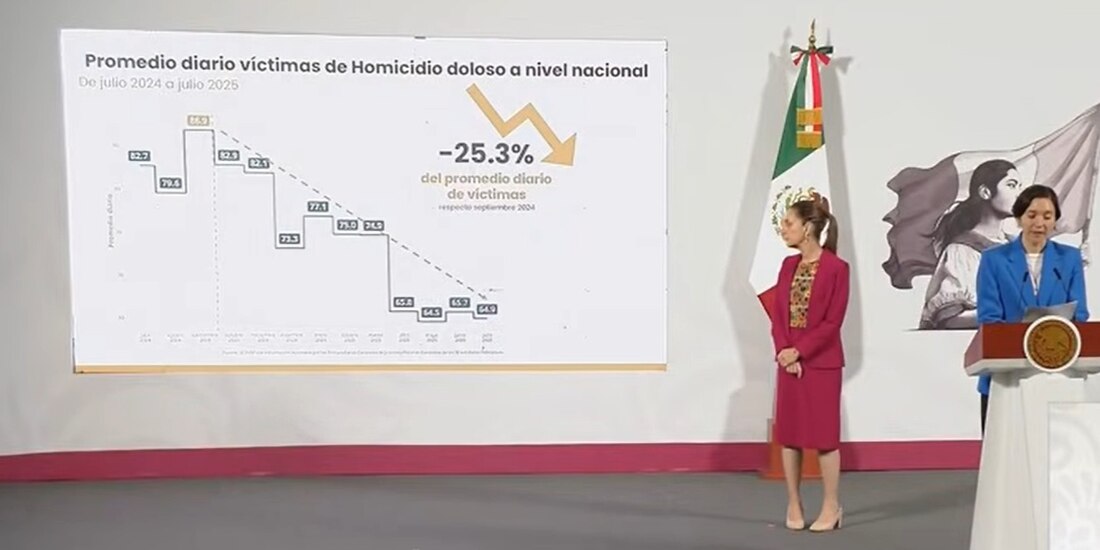 La titular del Secretariado Ejecutivo del Sistema Nacional de Seguridad Pública ofreció la información en la Mañanera del Pueblo.