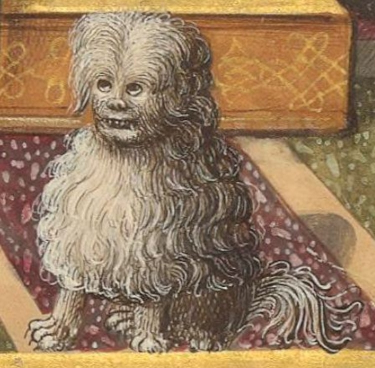 Perros pintados en la Edad Media