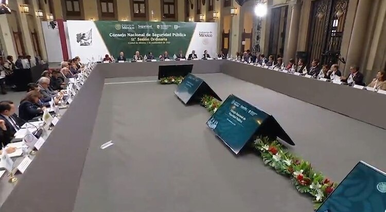 Aspecto del Consejo de Seguridad.